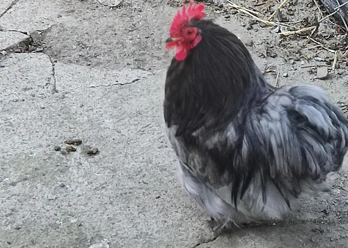 Appartement U Gumisia 